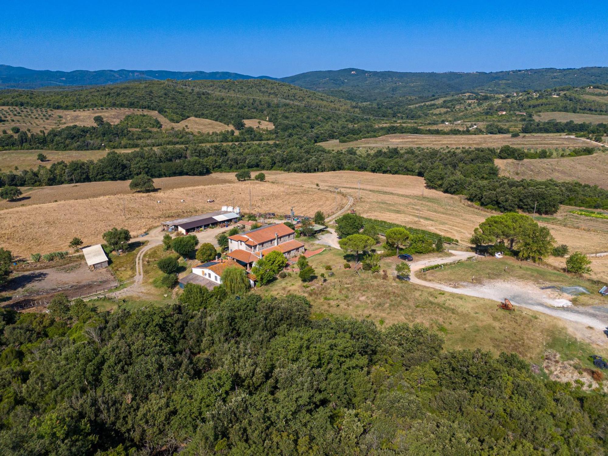 Agriturismo Tenuta Sant'Agnese Monteverdi Marittimo Eksteriør bilde