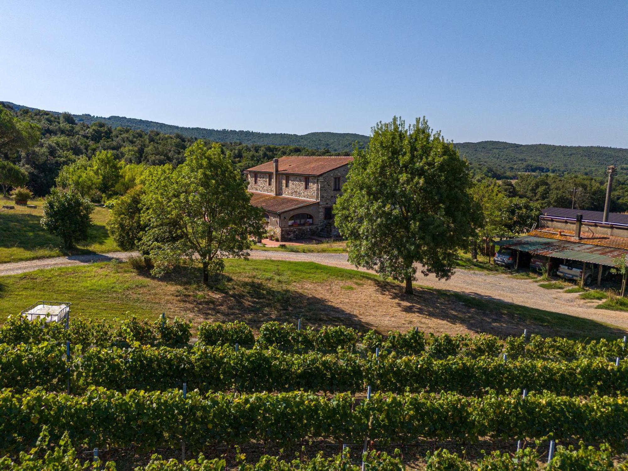 Agriturismo Tenuta Sant'Agnese Monteverdi Marittimo Eksteriør bilde